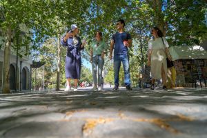 [b]Best Walking Tours in Athens[/b]