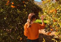 Greece for Foodies: A Gastronomic Odyssey